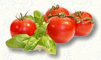 Tomaten